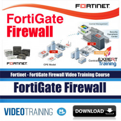 FortiGate